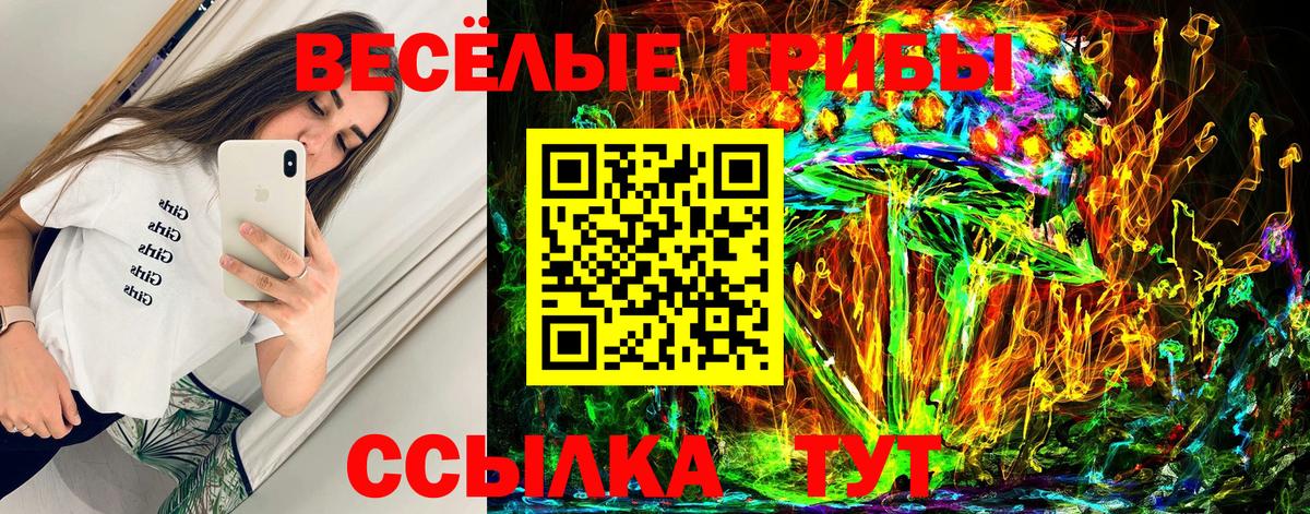 Алушта  Псилоцибиновые грибы MAGIC MUSHROOMS  Вход с VPN 